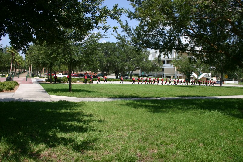 ../Images/usfcamp430.jpg