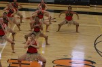 Thumbs/tn_UDA10_0574.jpg