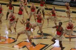 Thumbs/tn_UDA10_0577.jpg