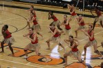 Thumbs/tn_UDA10_0578.jpg