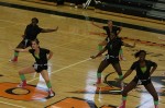 Thumbs/tn_UDA10_0639.jpg