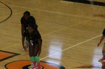 Thumbs/tn_UDA10_0678.jpg
