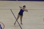 Thumbs/tn_FBA10_0877.jpg