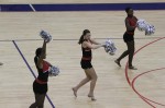 Thumbs/tn_FBA10_0938.jpg