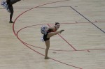 Thumbs/tn_FBA10_0941.jpg