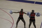 Thumbs/tn_FBA10_1008.jpg