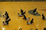 Thumbs/tn_Img_6609.jpg
