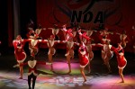 Thumbs/tn_NDAQual0442.jpg