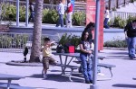 Thumbs/tn_RSIMG_9083.jpg